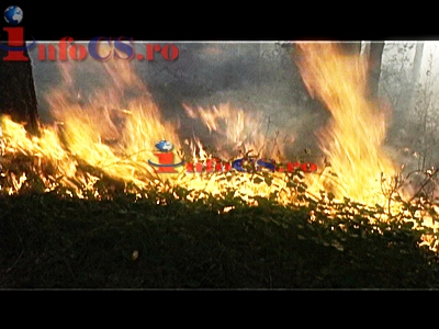 EXCLUSIV FOTOGALERIE VIDEO Puternic incendiu de vegetație în pădurea de la Câlnic de lângă Reșița