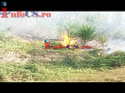 VIDEO Incendiu cu pericol de extindere la casele din apropiere la Reșița
