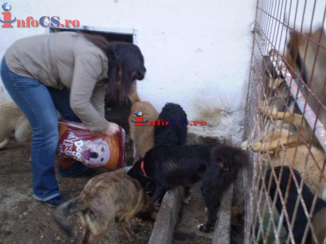 FOTOGALERIE I s-a împlinit visul- Lore a primit de ziua ei- mâncare pentru câinii din padocul Reșiței