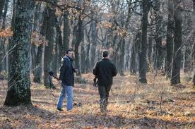 15 fonduri de vânătoare cu peste 5000 de animale ale DS în Caraș Severin