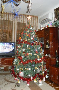 27 dec (179)