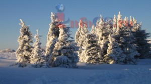 IMG_3839