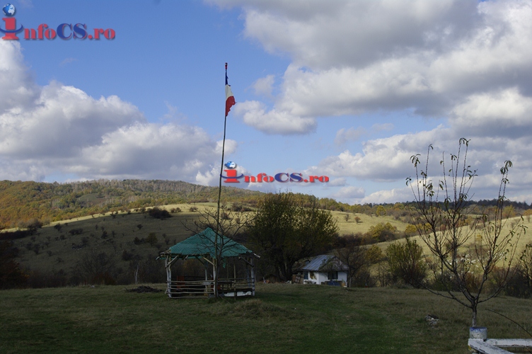 EXCLUSIV VIDEO Și ei simt românește- Cu tricolorul în grădină la Nermet