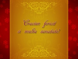 craciun2010_24