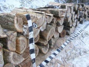Furt lemn (3)