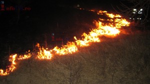 Foc CRucea Dogn (39)