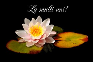8martie10