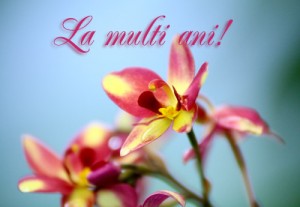 8martie21