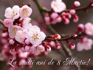8martie32