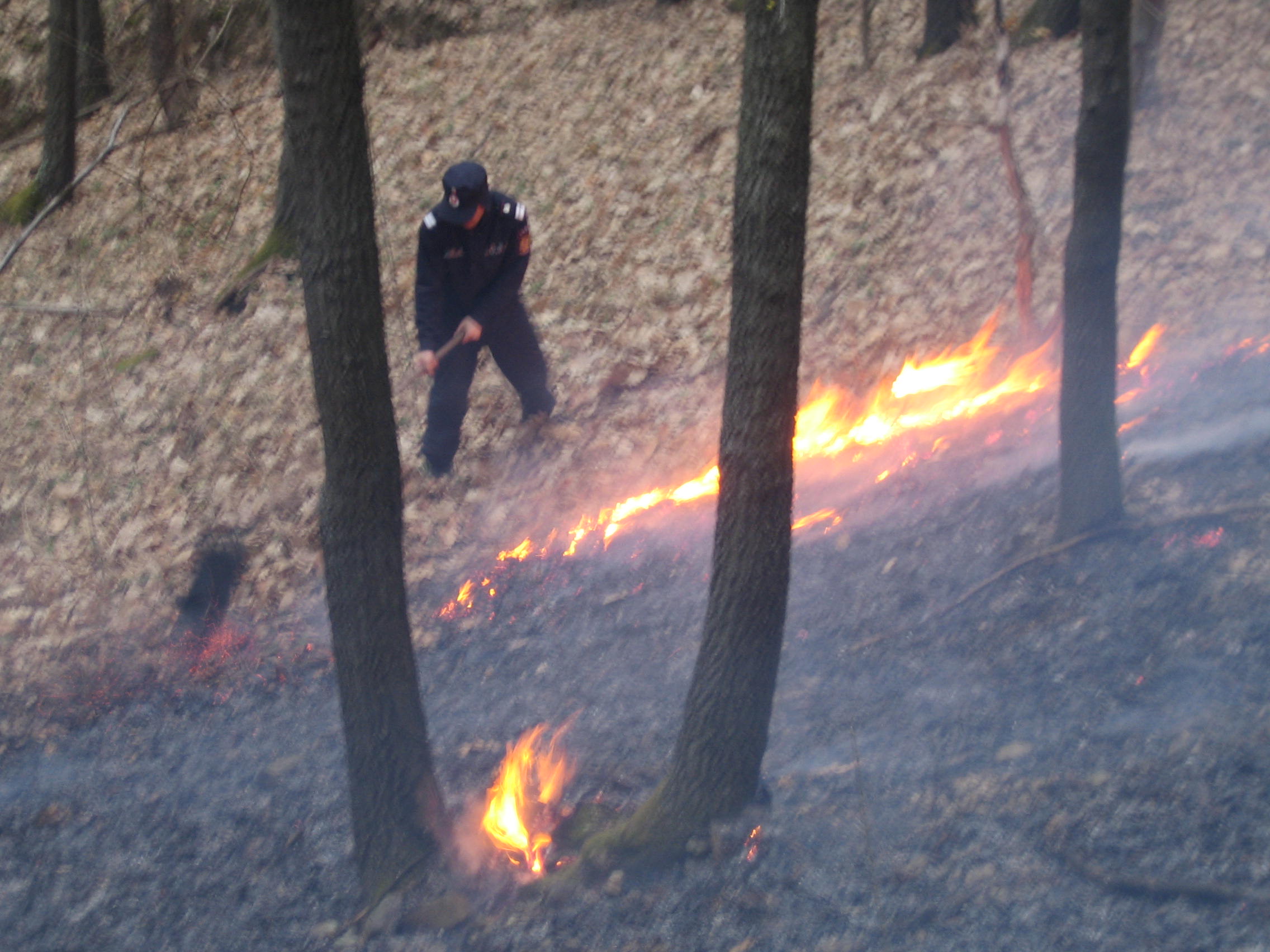 VIDEO S-a deschis sezonul la incendiile de vegetaţie, mai multe focare în Caraş Severin