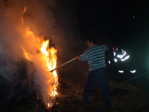 Foc (10)