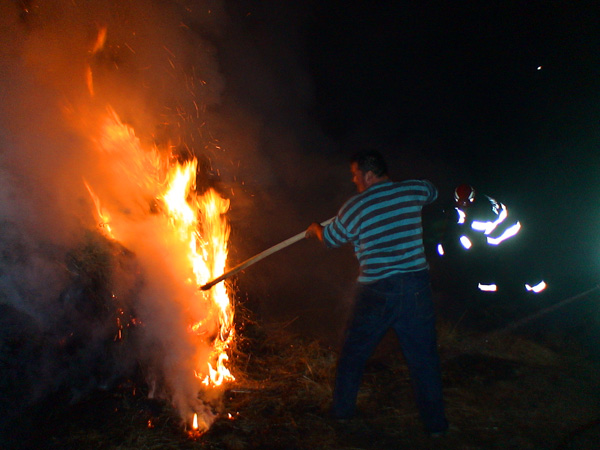 VIDEO La un pas de dezastru, un incendiu a cuprins un graj de animale la Lupac