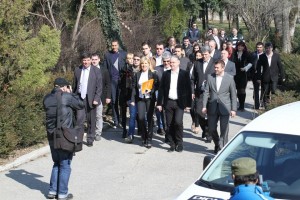 Udrea candidatura