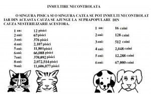Caini inmultire
