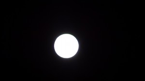 DSC00534