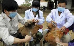 VIDEO Atenţionare de călătorie – R.P China semnalează apariţia virusului H7N9