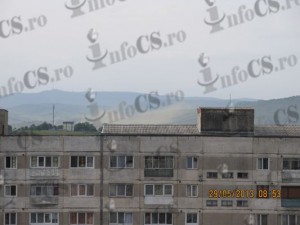 Picture 002