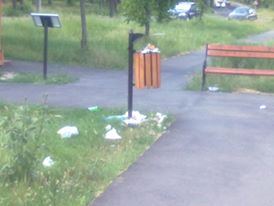Fii observator de Reșița! Cine golește coșurile de gunoi din parcuri?