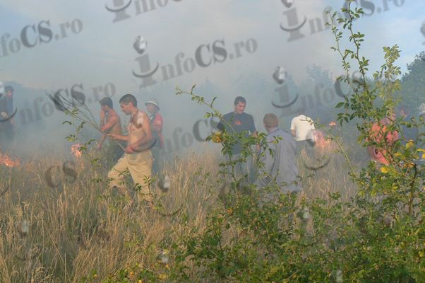 Incendiile la vegetaţie, rămân în actualitate- 50 de hectare ieri la Bocșa VIDEO EXCLUSIV