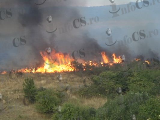 UPDATE EXCLUSIV VIDEO  Incendiu pe sute de hectare la Bocșa, flăcările amenință o stradă întreagă