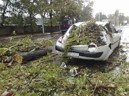 Oooo, tei bătrân- Mașini distruse de un copac căzut în parcare VIDEO