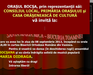 Ruga de la Vasiova