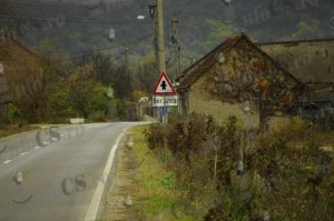 nov 2010 (22)