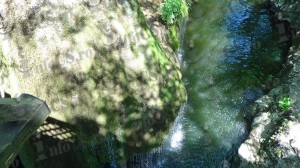 DSC02960