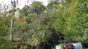 DSC05487