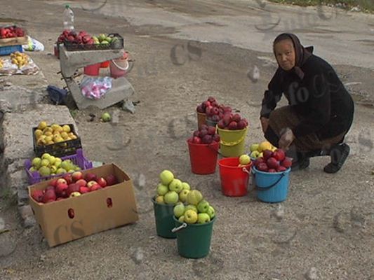 VIDEO FOTO Gugulan cu car cu mere şi fără piaţa de desfacere, bătaie de joc-30 de bani kg de mere la Cornereva