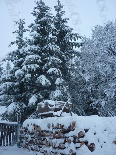 VIDEO FOTO EXCLUSIV Iarna a ajuns şi în Banat unde a venit prima zăpadă, 15 cm pe Semenic