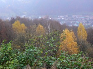 oct 07 (5)