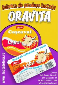 fabrica lapte oravita