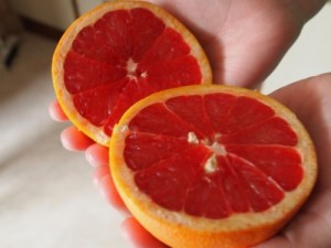 grepfruit