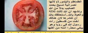 tomata cruce