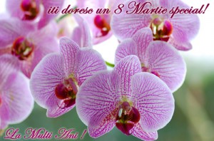 8 martie (13)
