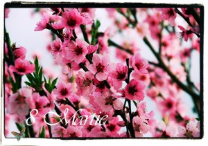 8 martie (23)