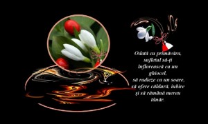 8 martie (7)