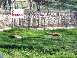 Zoo 30 mart (8)