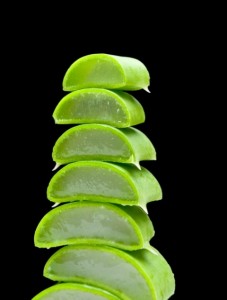 aloe-vera1