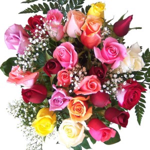 floare trandafiri_multicolori