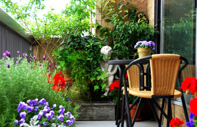 VIDEO Gradina de flori din balcon. 10 sfaturi de la specialistii in peisagistica