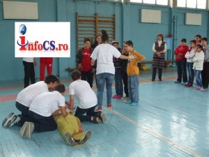 Crucea seminluan rosie (3)