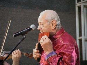 Festival BocsaAFR 2014 (5)