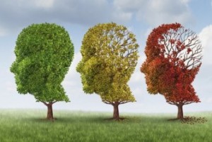 Alzheimer-336x226