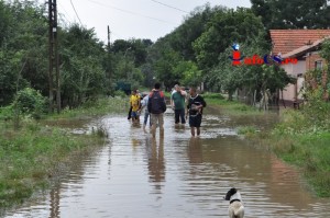Inundatii Ghertenis (13)