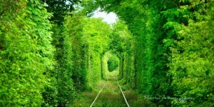 tunel Florin Avramescu
