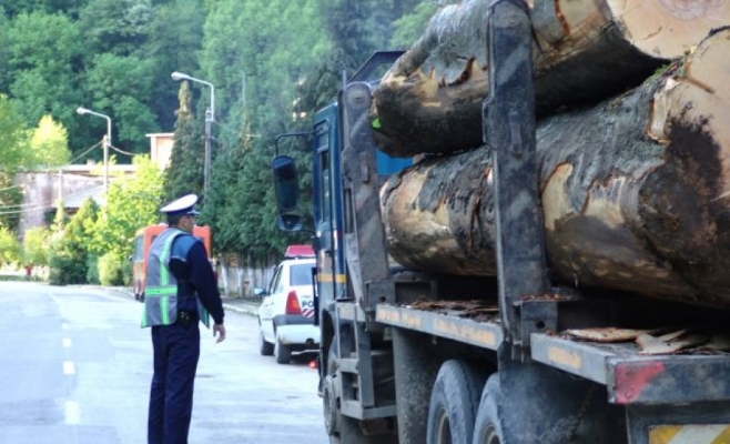 Actiuni pentru prevenirea tăierilor ilegale de arbori