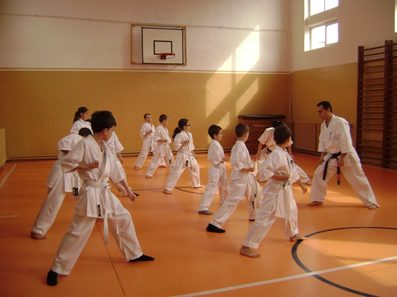 Shotokan  Karate  9 Kyu – 1 Dan – Seminar karate Bocsa