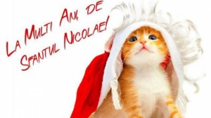mos_nicolae